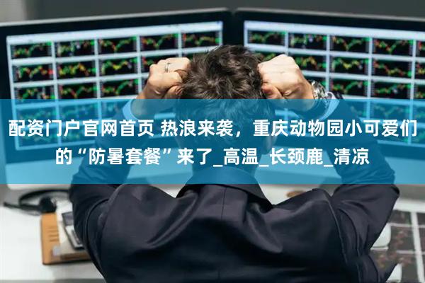 配资门户官网首页 热浪来袭，重庆动物园小可爱们的“防暑套餐”来了_高温_长颈鹿_清凉